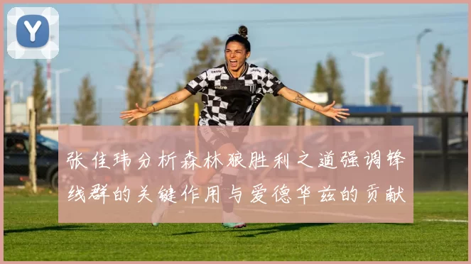 张佳玮分析森林狼胜利之道强调锋线群的关键作用与爱德华兹的贡献