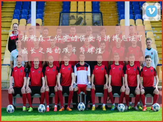 杨瀚森工作室的伤痕与拼搏见证了成长之路的艰辛与辉煌